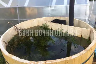 Тома Тихомирова