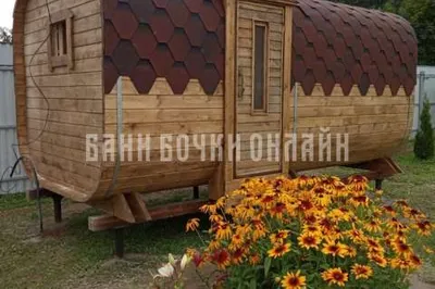 Токарева Маргарита Николаевна 