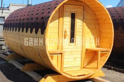 Светлана Варюхичева