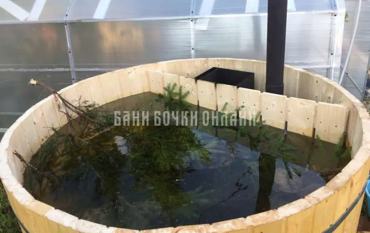 Тома Тихомирова